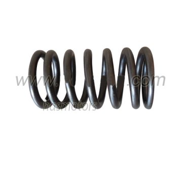 BFM1013 Valve spring OEM NO: 04200150